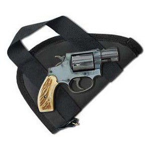 Ace Nylon Pistol Case With Handles PA